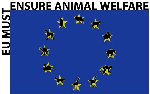 Η προστασία των ζώων στο επίκεντρο των ευρωεκλογών...