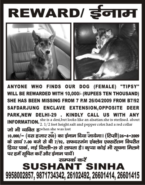 Dog Missing poster