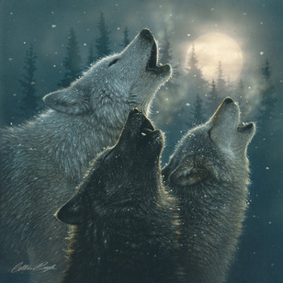 howlingwolvesmoon