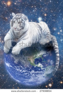 earth tiger